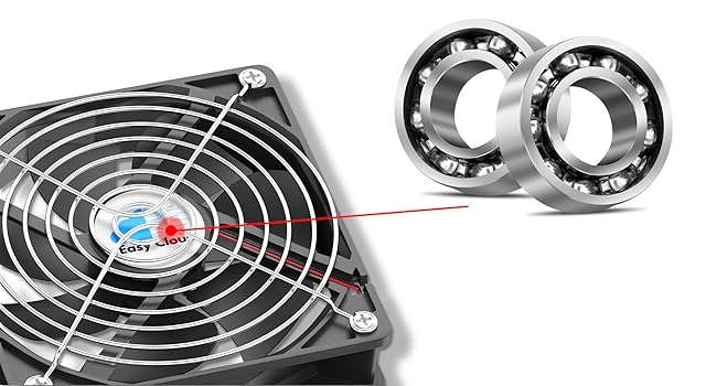 Dual Bearing