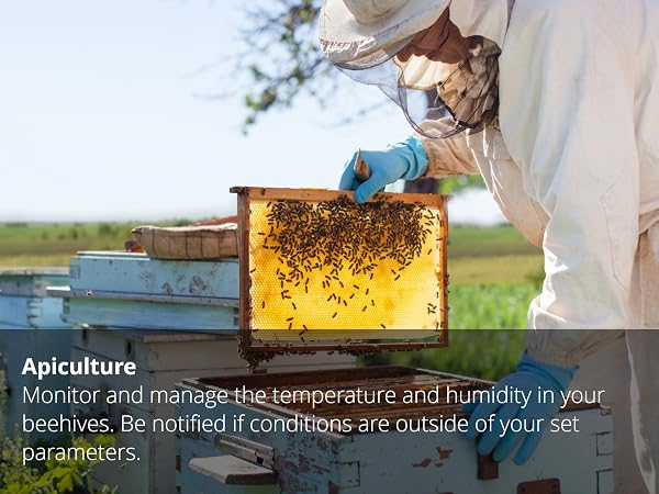 APICULTURE