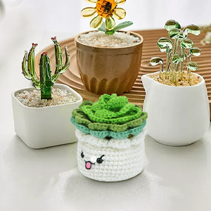 Crochet Kit for Beginners