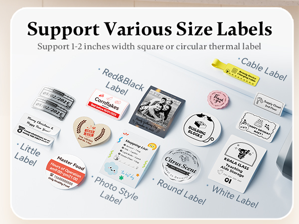 NIIMBOT B1 Pro Label Maker