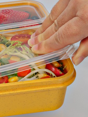 bento box, bento box adult, bento box for kids, lunch containers