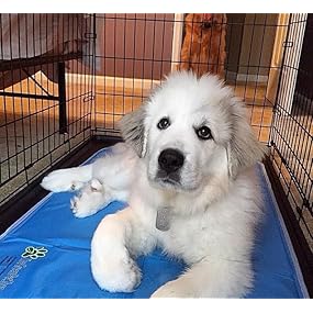 The Green Pet Shop Self Cooling Pet Pad,