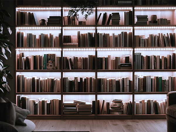 motion sensor lights