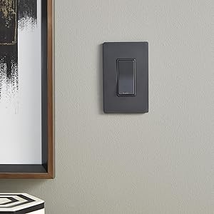 radiant switch graphite metallic