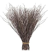 60Pcs Real Dried Birch Twigs Branches - 17” Natural Decorative Birch Branches for Easter Vases, B...