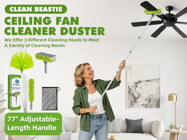 fan cleaner duster