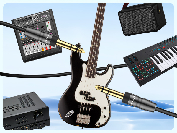 bass guitar accessories