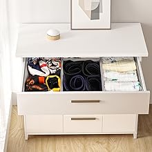 underwear organizer