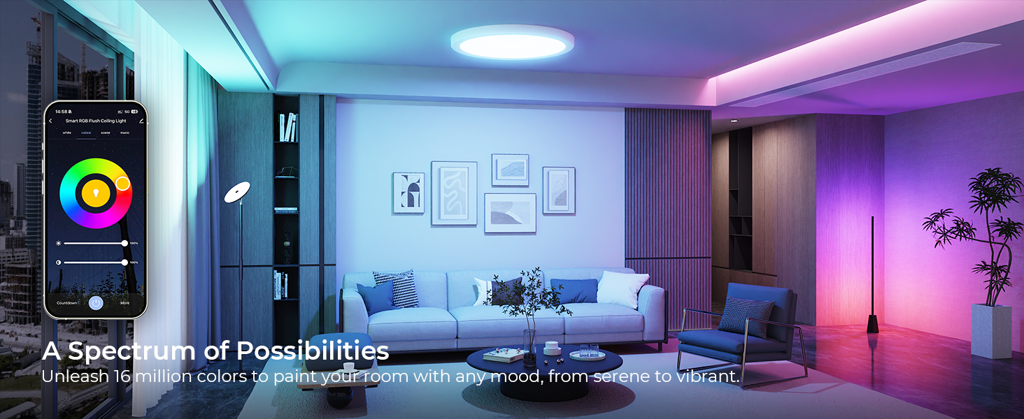 smart ceiling light