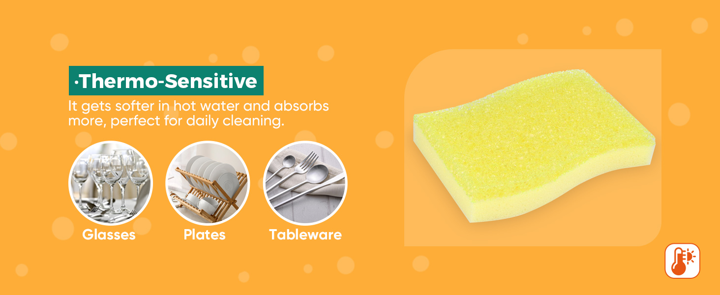 cleaning sponges
