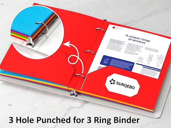 3 hole punched folders