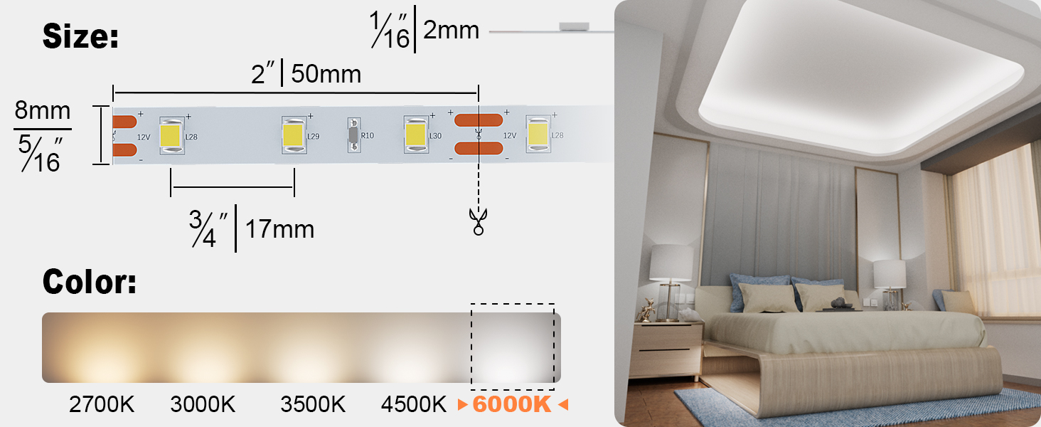size of the strip lights