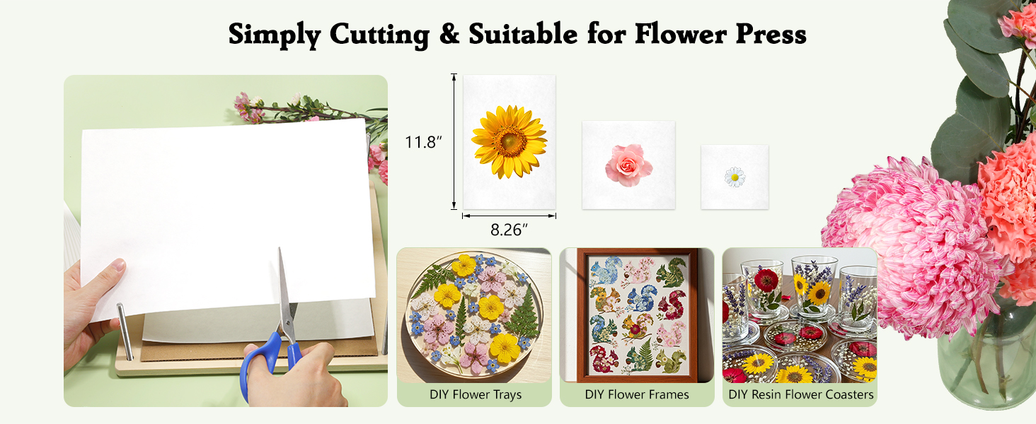 blotting paper for flower press