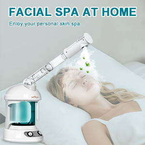 steamer for face