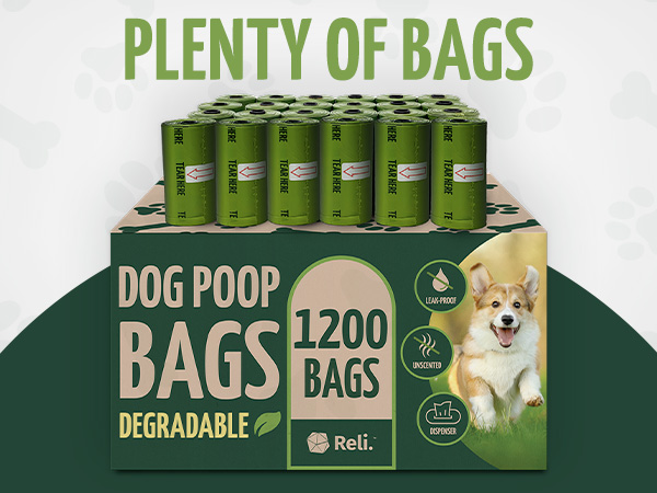 https://m.media-amazon.com/images/S/aplus-media-library-service-media/1a499668-db0c-4b0f-8bc2-2372f89a5ab3.__CR0,0,600,450_PT0_SX600_V1___.jpg