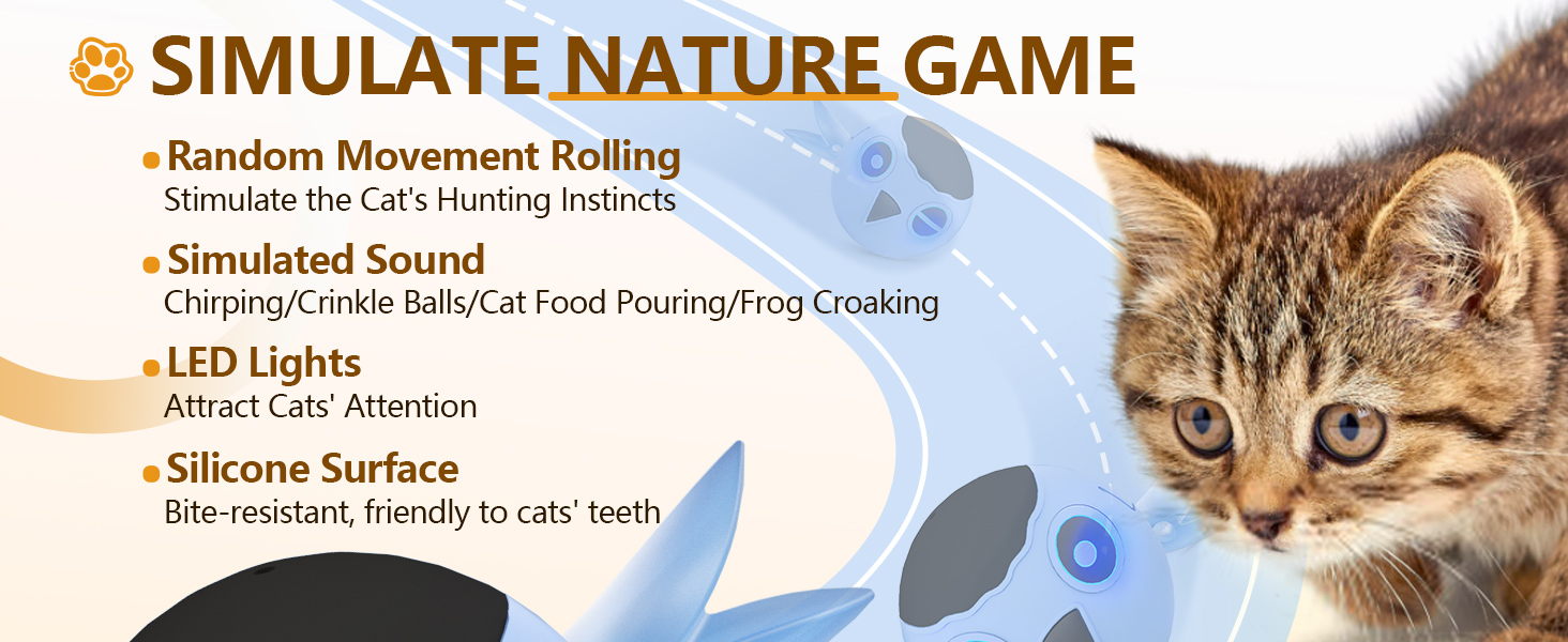 cat toys