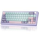 BOYI GMK67 65% Tri-Mode Compact Mechanical Keyboard,Gasket BT5.0/Type-C/2.4G Wireless South-Facin...