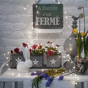 Outdoor Solar String Lights