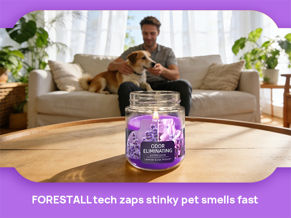 Lavender & Lilac Blossom Odor Eliminating Candles