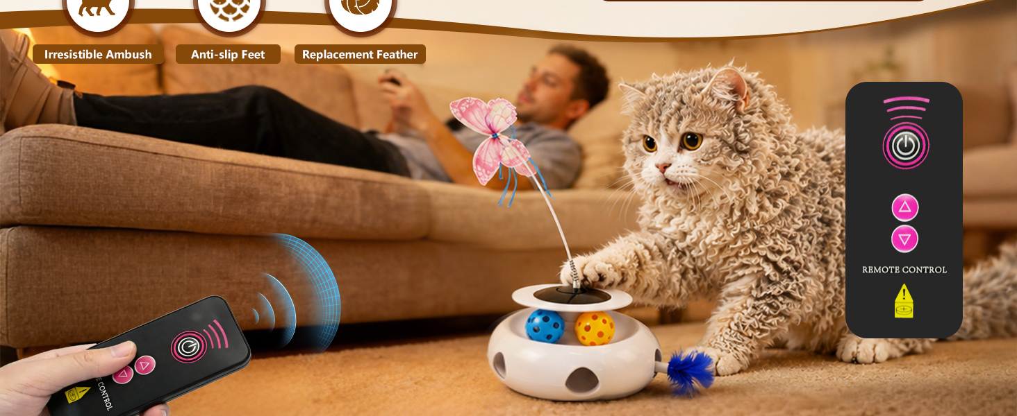 cat ball toy