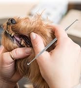 ARSUK Pet Dental Tooth Scaler Teeth Cleaning Tool, Dog Plaque Remover Teeth Whitening, Stainless ...