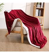 Electric Heated Throw Blanket 50" x 60", Soft Flannel Throw Blanket with 4 Heating Levels & 4 Hou...