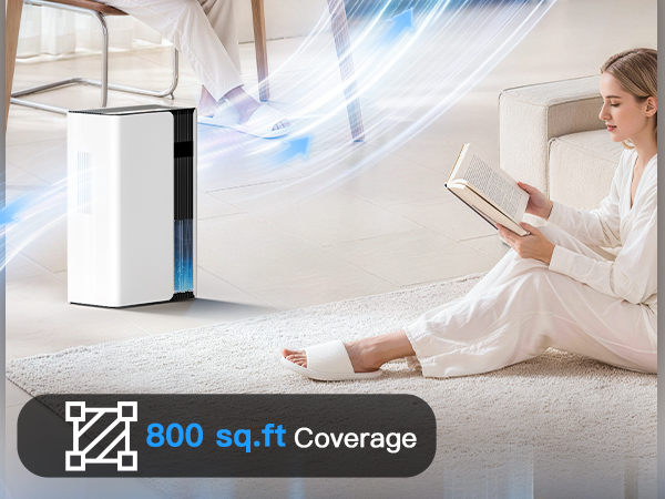 dehumidifiers for home