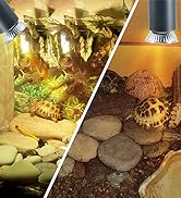 reptile light bulb