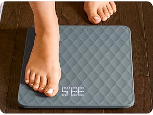 scale