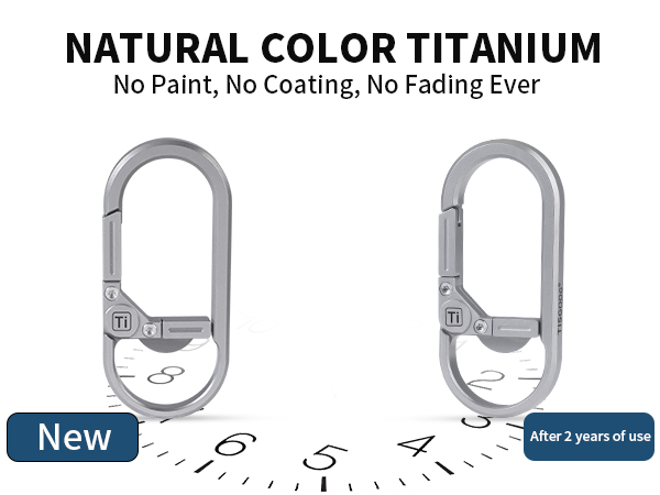 Titanium Keychain