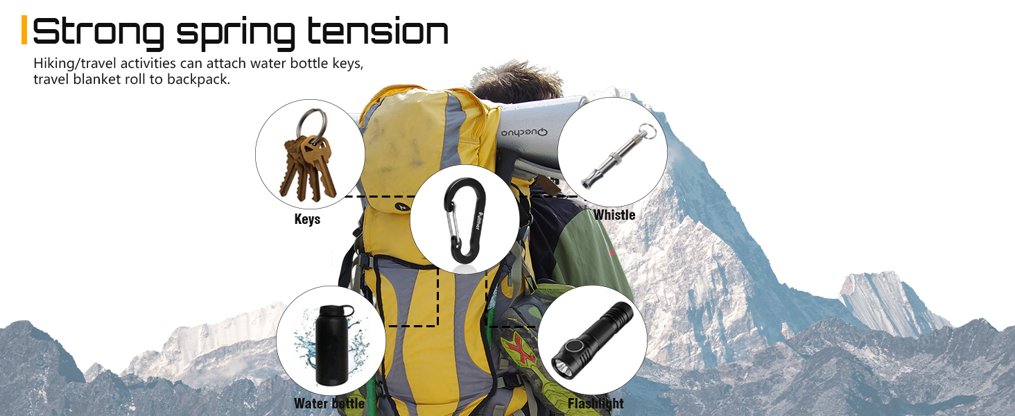 Carabiner Clips