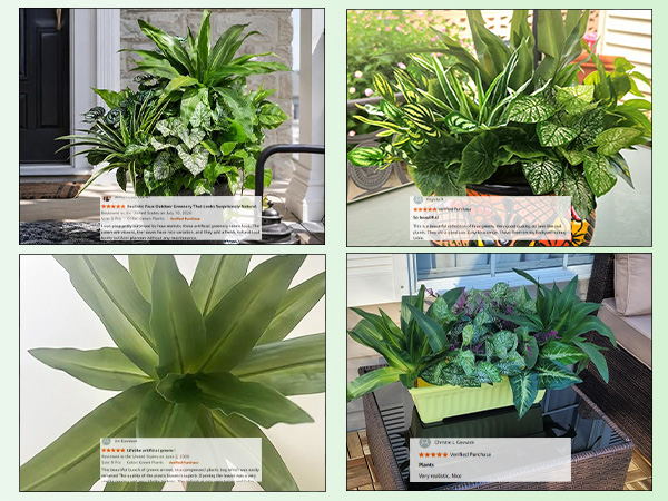 fake plants