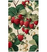 LEIWEIHOPE Strawberry Kitchen Towels – Vintage Fruit Dish Towel with Red & White Strawberry Patte...
