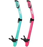 Aegend Diving Dry Snorkel for Adult & Youth - Snorkeling Gear with Top Dry Valve for Snorkeling, ...