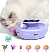 cat interactive toys