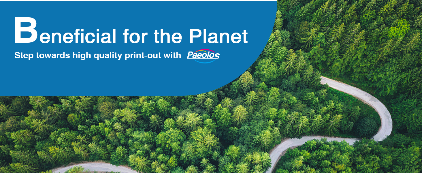 paeolos ink cartridges