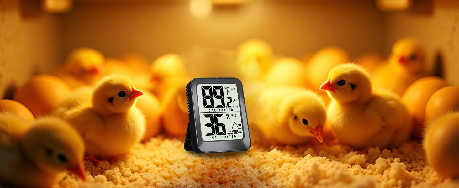 indoor thermometer for room temperature analog