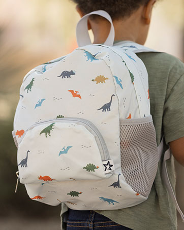 https://m.media-amazon.com/images/S/aplus-media-library-service-media/dad81c99-dac8-4f4b-84cf-e5088f9e93c5.__CR0,0,362,453_PT0_SX362_V1___.jpg