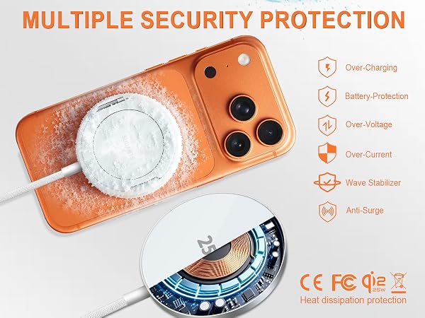 MULTIPLE SECURITY PROTECTION