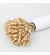 120pcs Dried Rabbit Tails, Natural Bulk Dried Flowers for Diy Bohemian Wedding Rustic Party Decor...