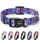purple dog collar