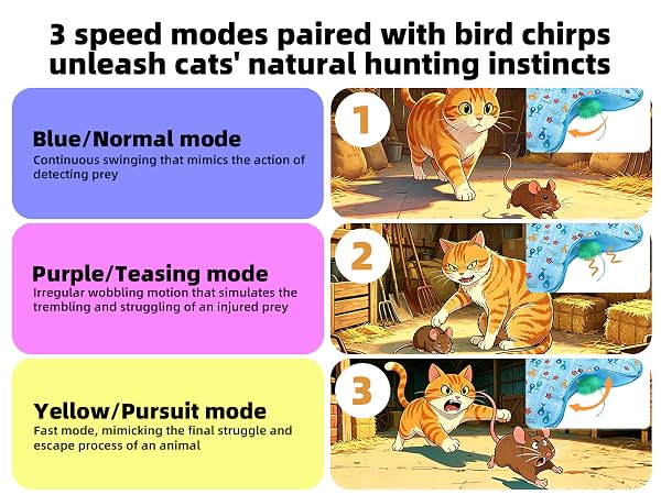 Interactive Cat Toy, Peek-a-Boo Series – Hidden Feather Wand, Rechargeable Indoor Hunting Toy