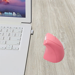 put the USB receiver into the computer port