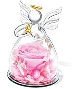 SITUMEIZI Christmas Rose Gifts for Women,Birthday Gifts for Women Mom,Preserved Rose in Glass Ang...