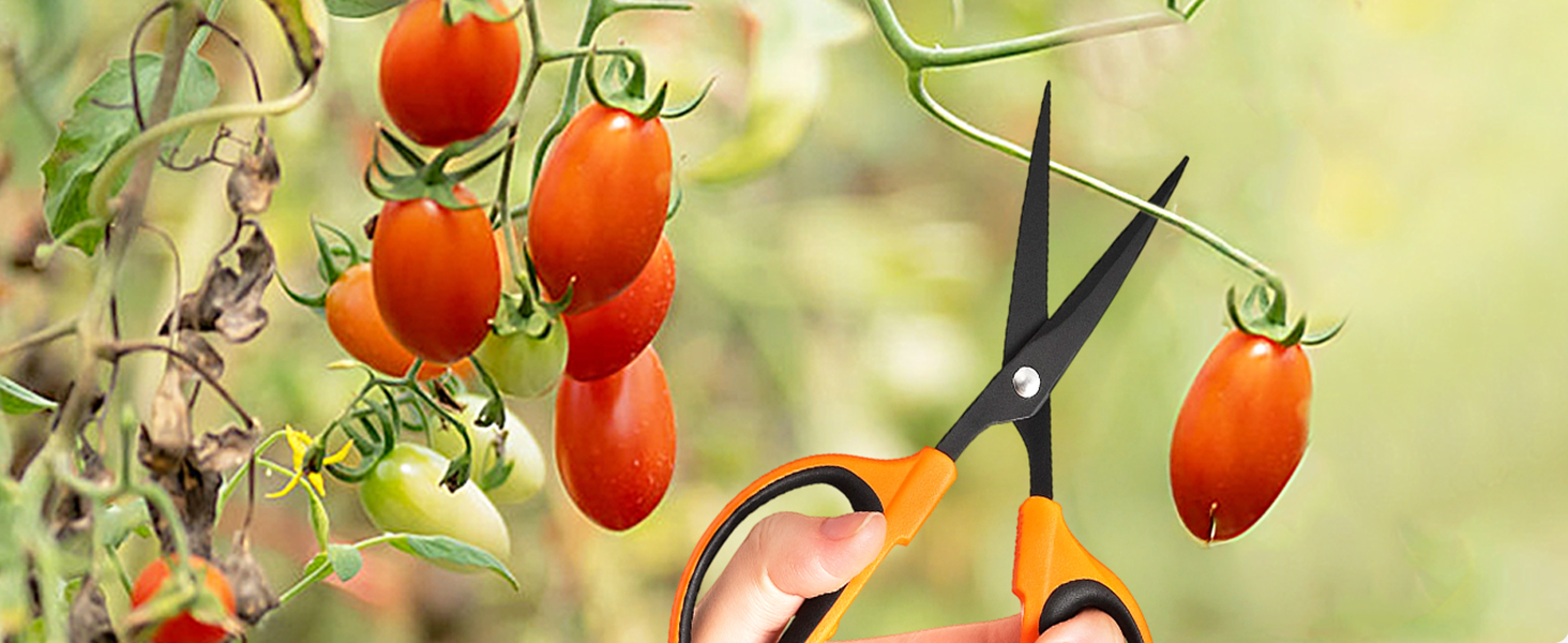 garden scissors