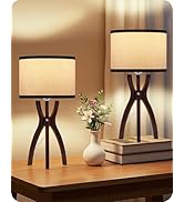 GOEBLESON Table Lamps Set of 2, STY18TLP205