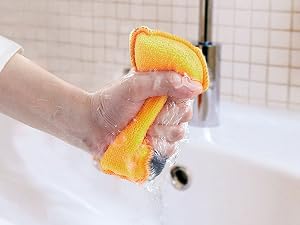 sponge