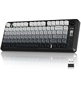 ZIYOU LANG M75 Wireless Gaming Keyboard, RGB Backlit Rechargeable 2000mAh Battery, Small Membrane...