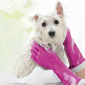 dog wash
