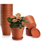 16 Pack Plastic Terracotta Plant Pots with Drainage Holes and Tray, 4 inch Thickened Indoor Plant...